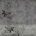 OLIVE 1